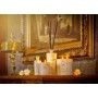 Candle Tobacco & Amber Gold Edition 600gr - CERERIA MOLLA 1899 Tobacco &amp; Amber
Oriental-inspired fragrance of exotic ginger 