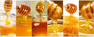 Certified artisanal honey %separator% Belgian, 100% Natural