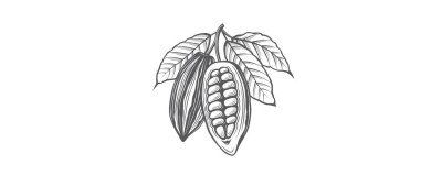 Cacao