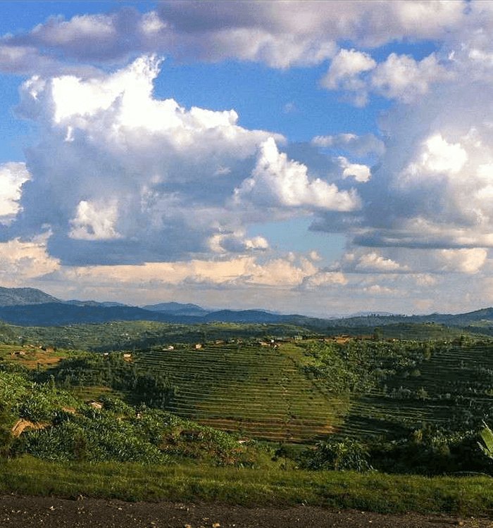 LE TERROIR DE CYANGUGU