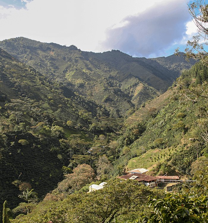 LA GABRIELA